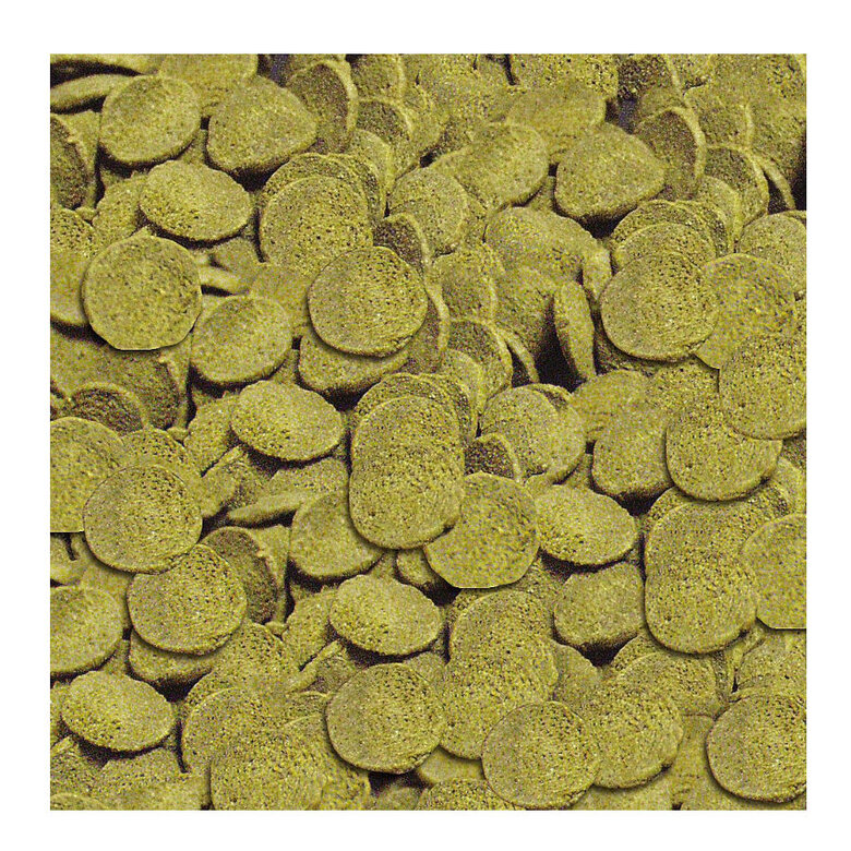 Sera Wels-chips alimento para peixes, , large image number null