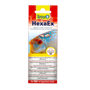 Tetra Medica HexaEx Hexamita tratamento para peixes