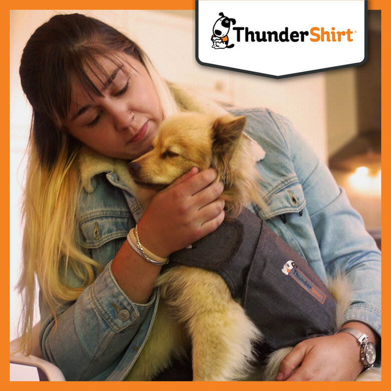 Thundershirt Colete Anti-Stress para cães,  Imagem número 7 Thundershirt Colete Anti-Stress para cães, , large Imagem número 7