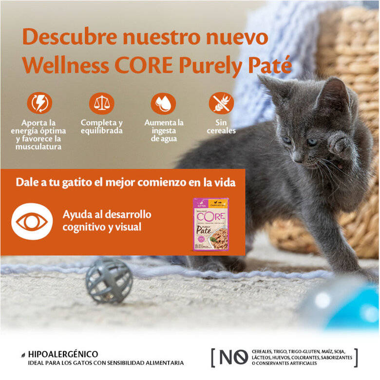 85 g Wellness Core Kitten Frango em Patê para gatinhos,  Imagem número 3 85 g Wellness Core Kitten Frango em Patê para gatinhos, , large Imagem número 3