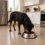 Leeby Comedouro de Metal com Anel de Silicone para c&atilde;es, , large Indicador imagem n&uacute;mero 1