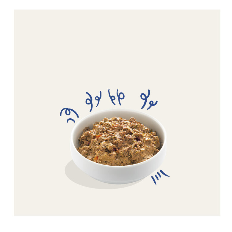 150 g Edgard y Cooper Peru Terrinas comida húmida,  Imagem número 2 150 g Edgard y Cooper Peru Terrinas comida húmida, , large Imagem número 2