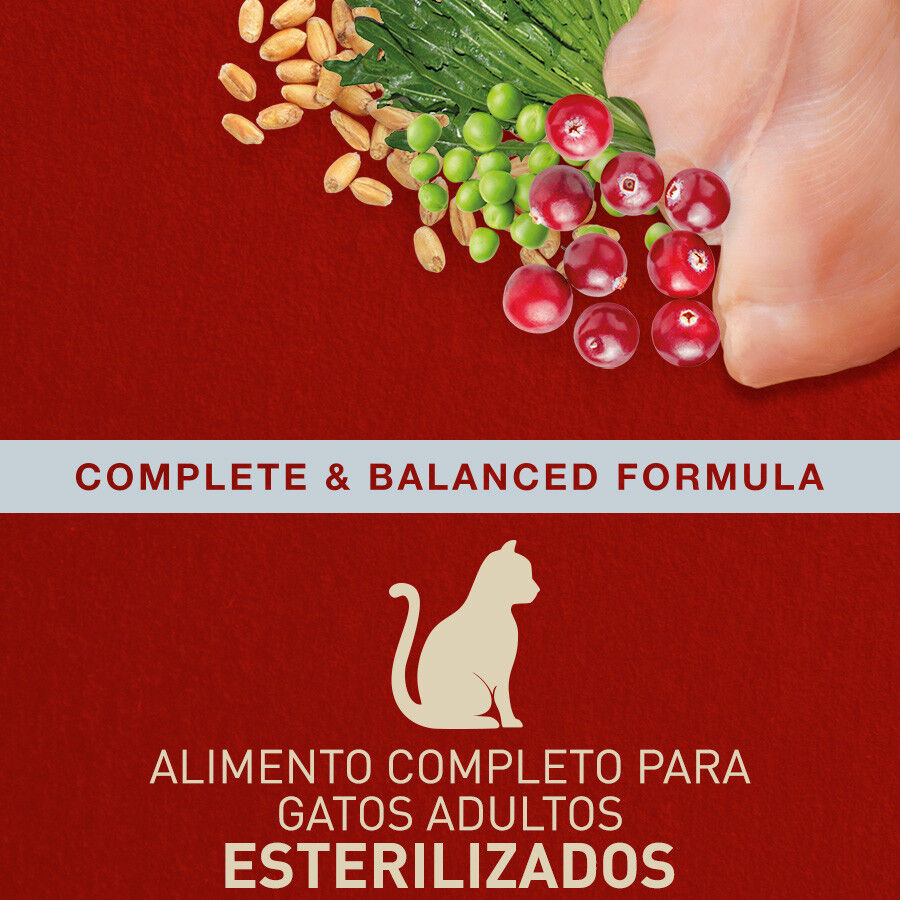 2.5 kg Catxtreme Adult Indoor Sterilised Frango ra&ccedil;&atilde;o para gatos, , large Imagem n&uacute;mero 3