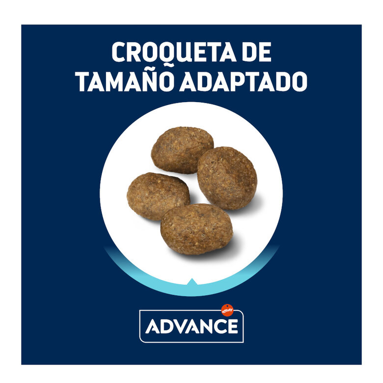 12 kg Advance Active Defense Sensitive Borrego e Arroz ração para cães,  Imagem número 3 12 kg Advance Active Defense Sensitive Borrego e Arroz ração para cães, , large Imagem número 3