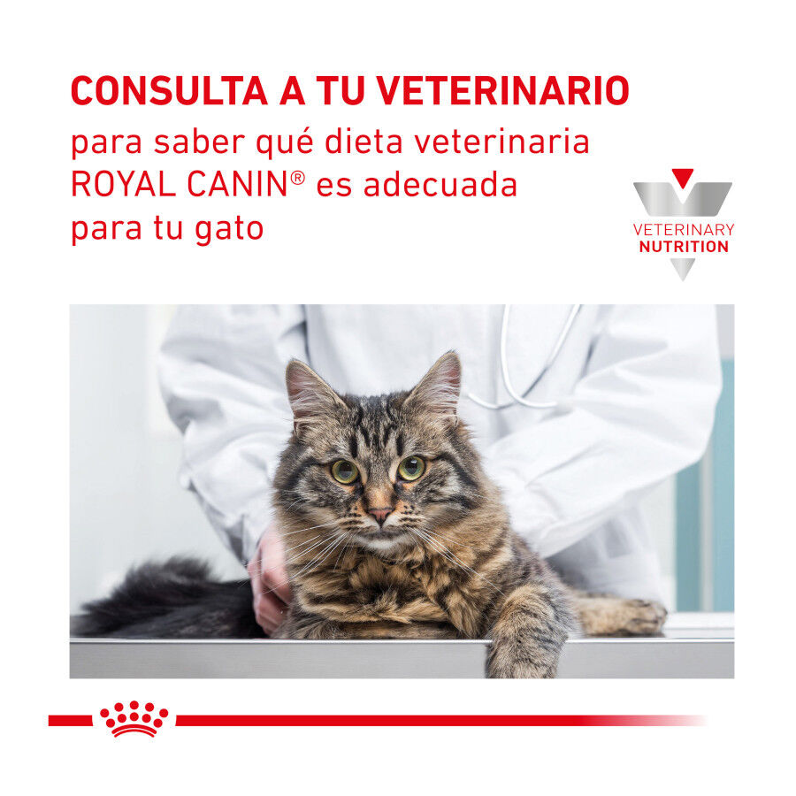 4 kg Royal Canin Veterinary Gastrointestinal Fibre Response ra&ccedil;&atilde;o para gatos, , large Imagem n&uacute;mero 9