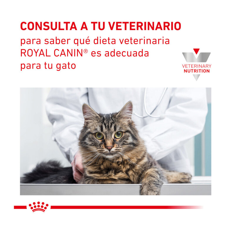 Royal Canin Veterinary Gastrointestinal Fibre Response ração para gatos, , large image number null