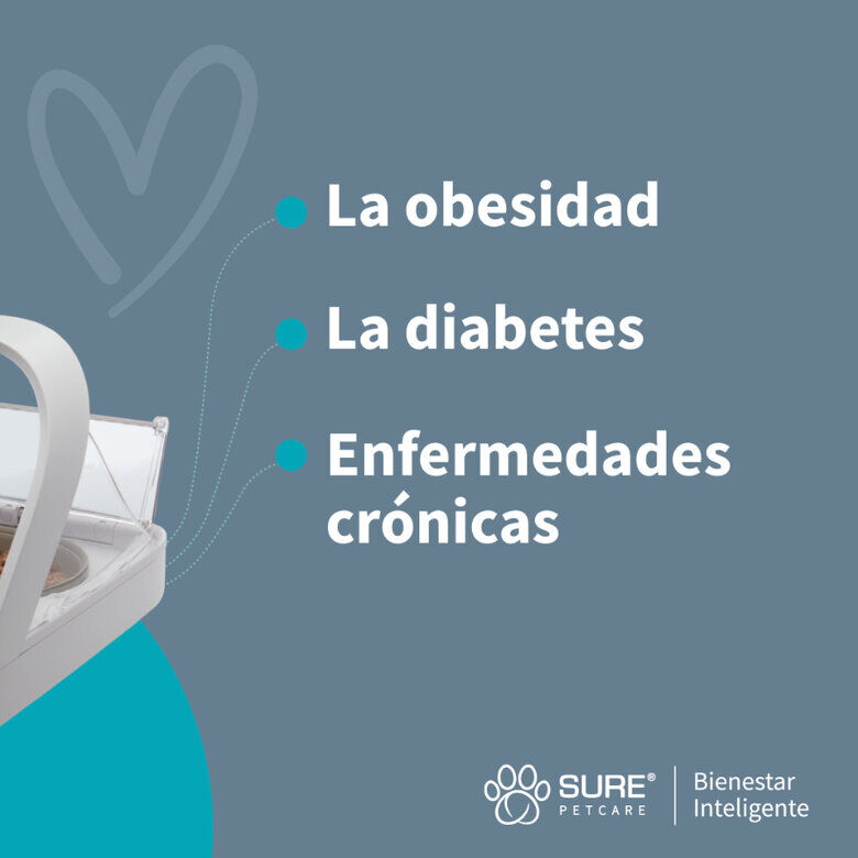 Sure Petcare Surefeed Comedouro Autom&aacute;tico com Microchip, , large Imagem n&uacute;mero 10