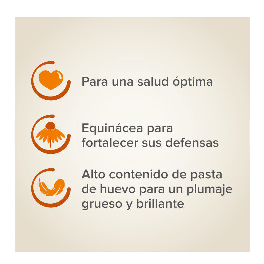 Beaphar XtraVital comida para periquitos, , large Imagem n&uacute;mero 5