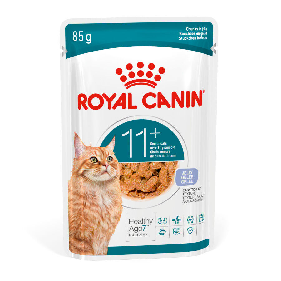 85 g Royal Canin Ageing +11 Alimento H&uacute;mido em Gelatina para gatos s&eacute;nior, , large Imagem n&uacute;mero 1