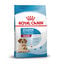 15 kg Royal Canin Medium Starter Mother&Baby ração para cães, , large Indicador imagem número 1