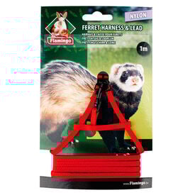 Flamingo Peitoral para furões de nylon com correia
