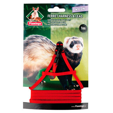 Flamingo Peitoral para furões de nylon com correia