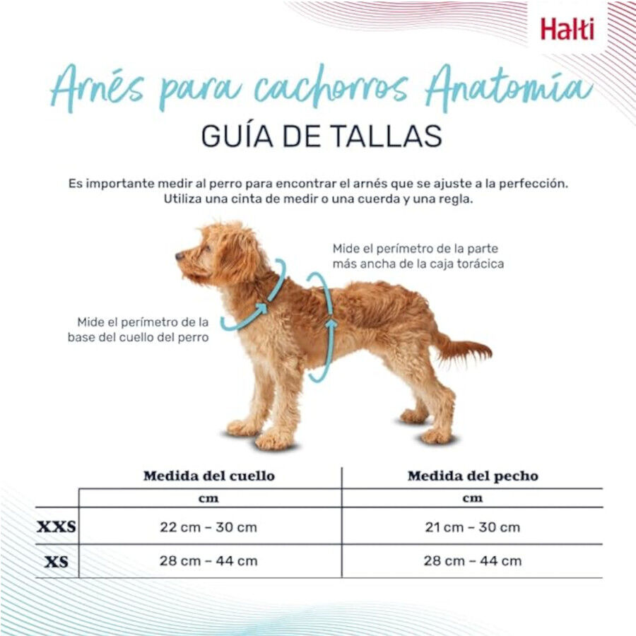 Halti Peitoral Anat&oacute;mico Cinza para C&atilde;es Pequenos, , large Imagem n&uacute;mero 2