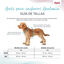 Halti Peitoral Anatómico Cinza para Cães Pequenos, , large Indicador imagem número 2