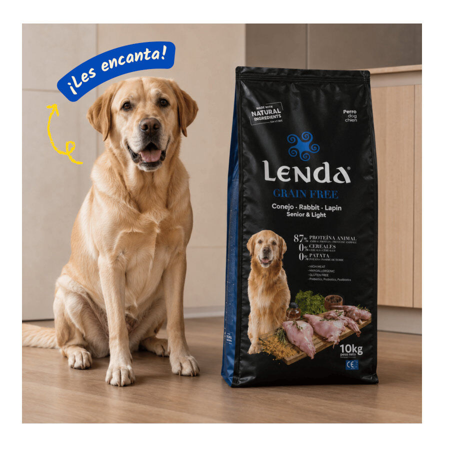 10 kg Lenda Grain Free Light Senior Ra&ccedil;&atilde;o para c&atilde;es, , large Imagem n&uacute;mero 5