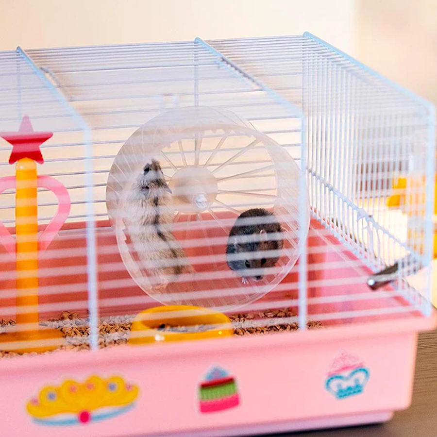 Ferplast Criceti 9 Princesas Branca Jaula para roedores, , large Imagem n&uacute;mero 4