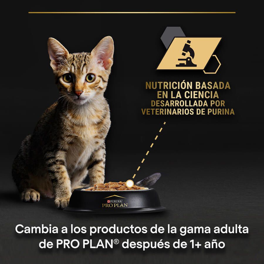 85 g Pro Plan NutriSavour Feline Junior Peru saqueta em molho, , large Imagem n&uacute;mero 8