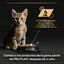 85 g Pro Plan NutriSavour Feline Junior Peru saqueta em molho, , large Indicador imagem número 8
