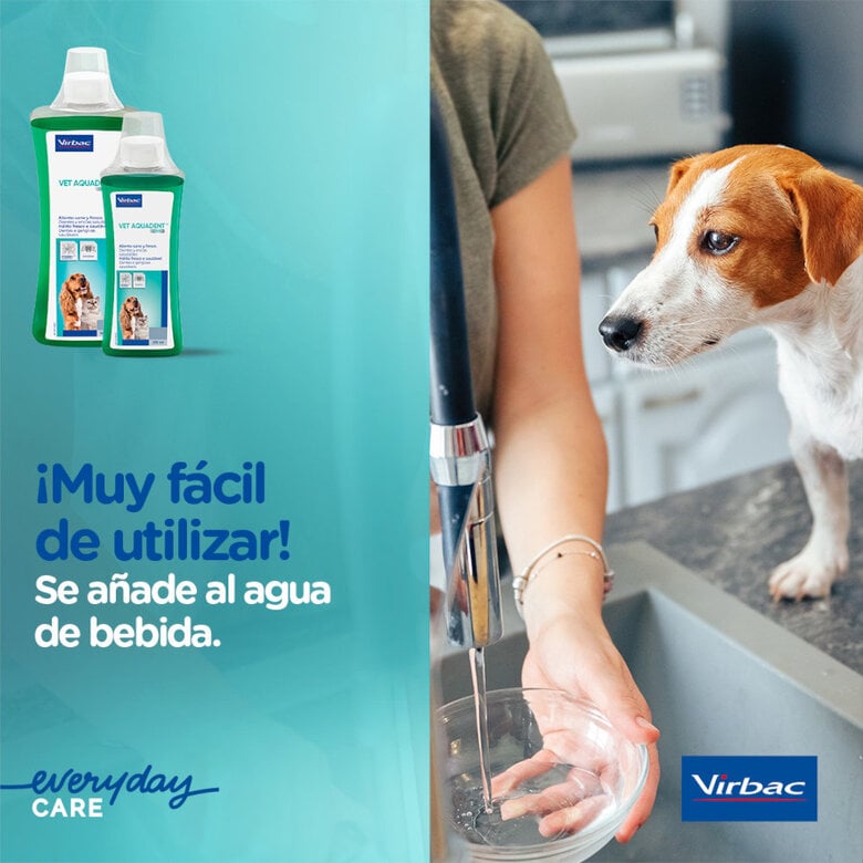 Virbac Vet Aquadent Elixir Bucal para cães e gatos,  Imagem número 5 Virbac Vet Aquadent Elixir Bucal para cães e gatos, , large Imagem número 5