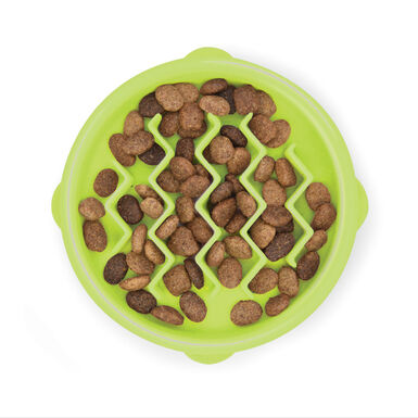 Outward Hound Catstages Cat Fun Comedouro Anti-Voracidade Verde para gatos