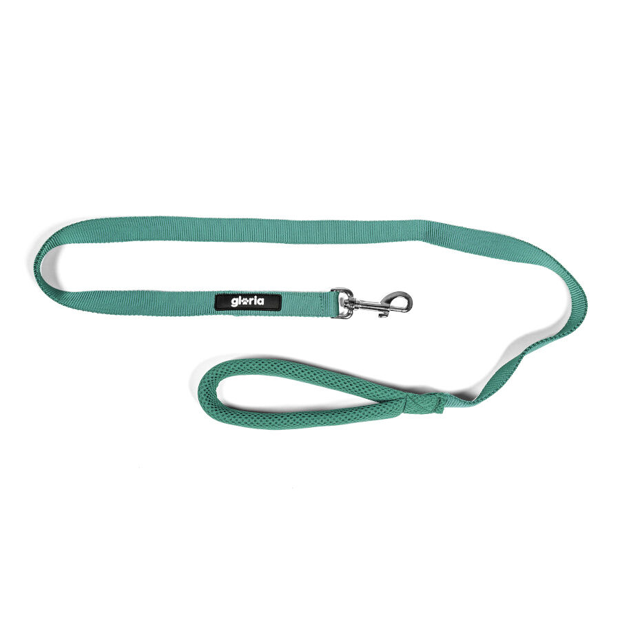 Gloria Air Mesh Trek Star Trela Turquesa para c&atilde;es, , large Imagem n&uacute;mero 3