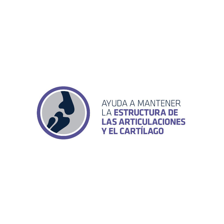 Advance Articular Forte complemento para cães, , large image number null