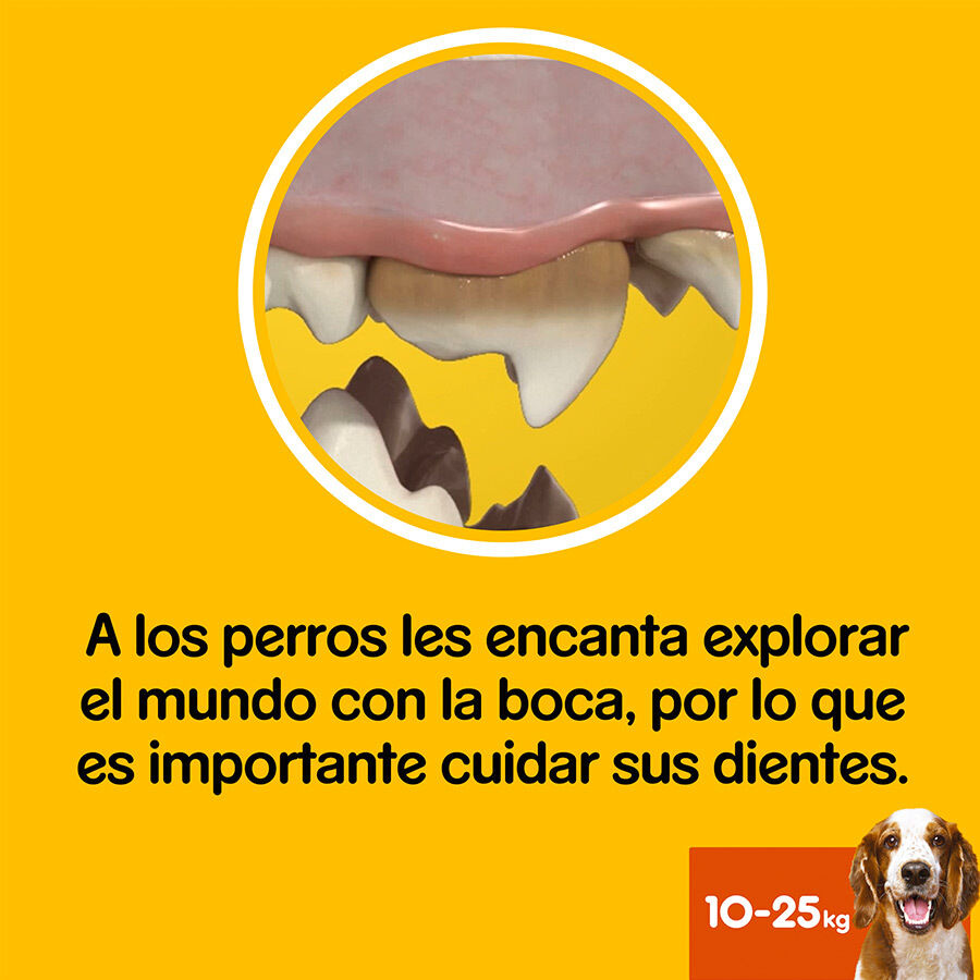 112 sticks Pedigree Dentastix Snacks Dent&aacute;rios para c&atilde;es m&eacute;dios, , large Imagem n&uacute;mero 6