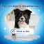 21 sticks Purina Dentalife snack para cães muito pequenos, , large Indicador imagem número 4