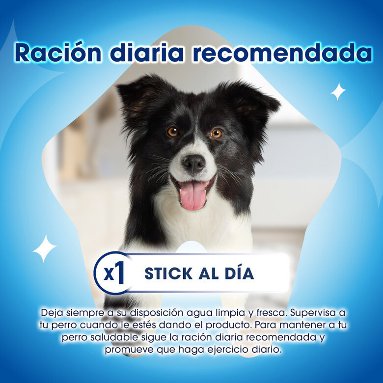 21 sticks Purina Dentalife snack para cães muito pequenos,  Imagem número 4 21 sticks Purina Dentalife snack para cães muito pequenos, , large Imagem número 4
