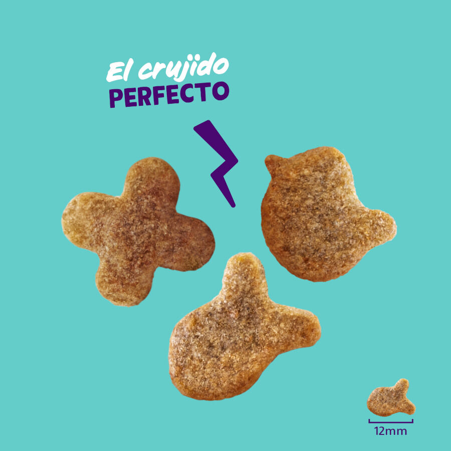 50 g Edgard & Cooper Crunchies Snack de frango para gatos, , large Imagem n&uacute;mero 3