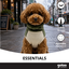 Gotoo Camisola Polar Verde para c&atilde;es, , large Indicador imagem n&uacute;mero 6
