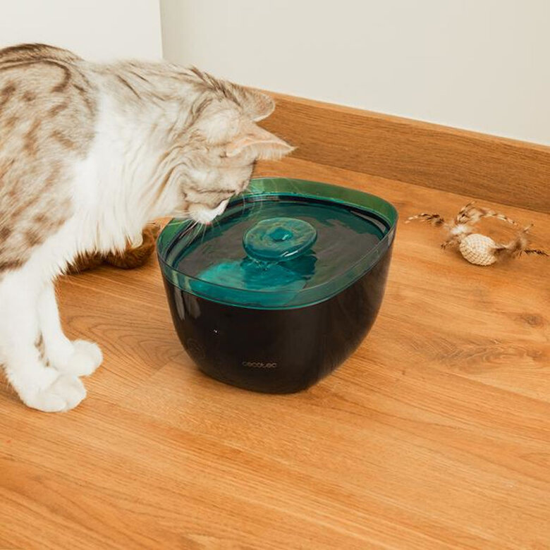 Cecotec Pumba 2200 Refresh Bebedouro Automático para cães e gatos,  Imagem número 8 Cecotec Pumba 2200 Refresh Bebedouro Automático para cães e gatos, , large Imagem número 8