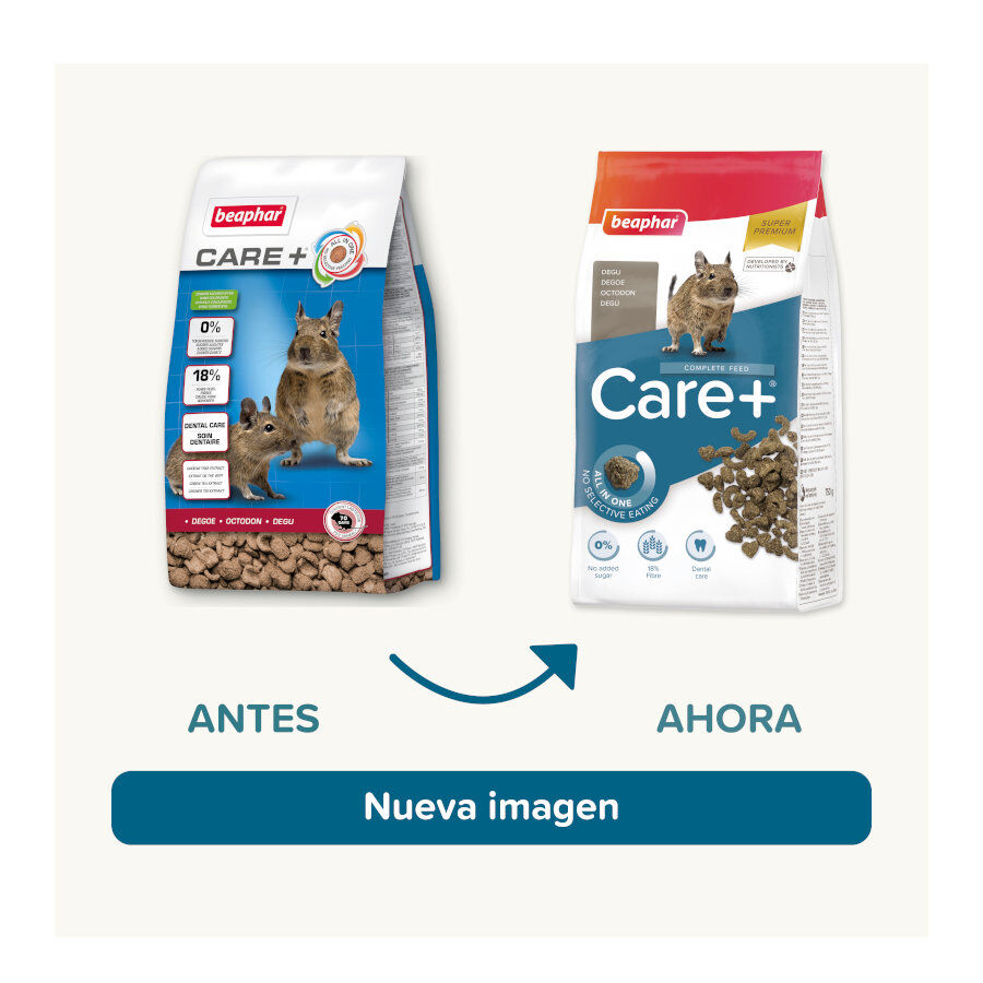 Beaphar Care+ Ra&ccedil;&atilde;o para degus, , large Imagem n&uacute;mero 2