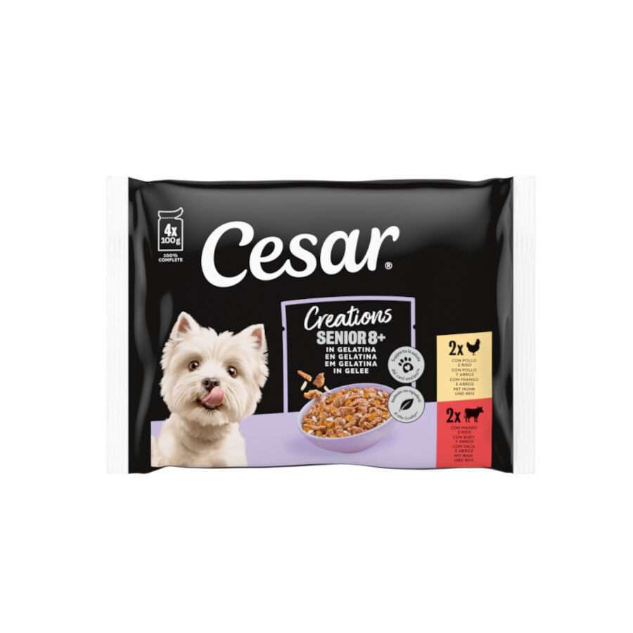 4 saquetas x 100 g Cesar Mistura de Carnes Geleia em Saquinho para C&atilde;es S&eacute;nior +8 - Multipack, , large Imagem n&uacute;mero 1