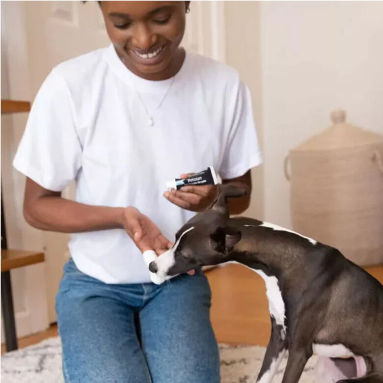 Petosan Kit dentário grande para cães e gatos,  Imagem número 3 Petosan Kit dentário grande para cães e gatos, , large Imagem número 3