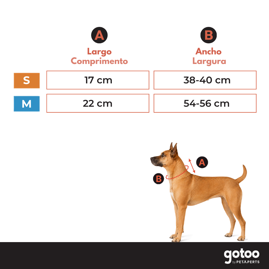 Gotoo Cachecol com Padr&atilde;o Retro para c&atilde;es, , large Imagem n&uacute;mero 5
