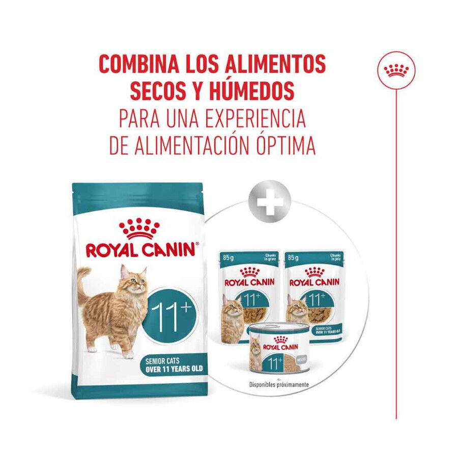 4 kg Royal Canin Ageing 11+ ra&ccedil;&atilde;o para gatos, , large Imagem n&uacute;mero 12