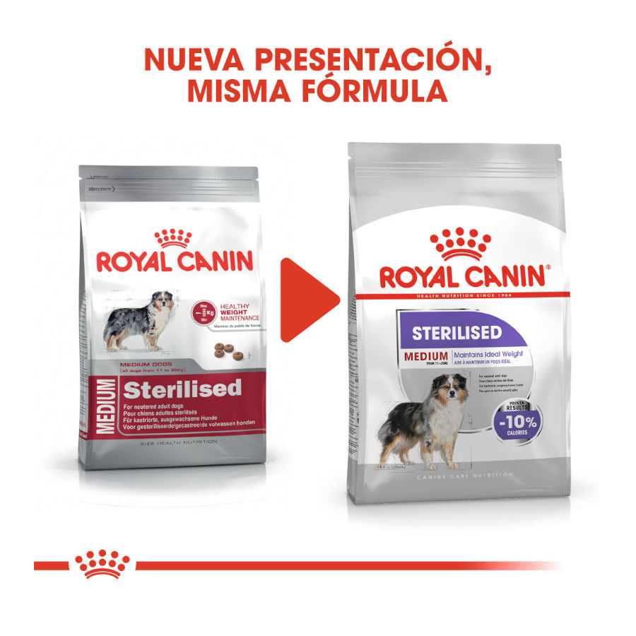 12 kg Royal Canin Sterilised Medium ra&ccedil;&atilde;o para c&atilde;es, , large Imagem n&uacute;mero 3