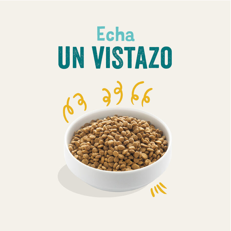 Edgard & Cooper Bio Peru ra&ccedil;&atilde;o para c&atilde;es, , large Imagem n&uacute;mero 2