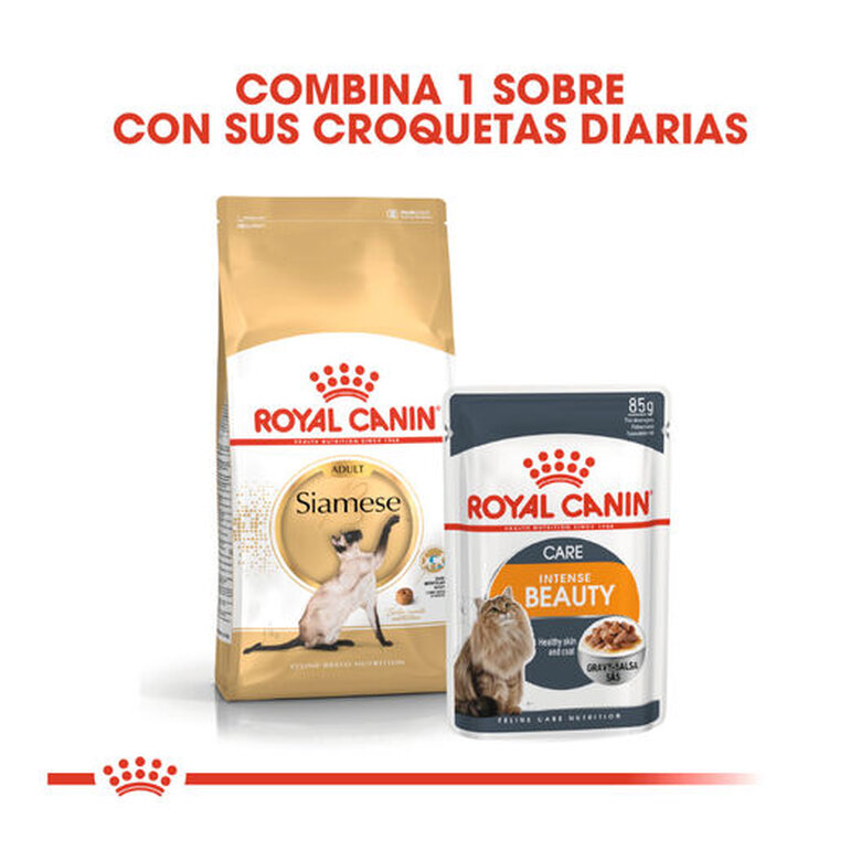 10 kg Royal Canin Adult Siamês ração para gatos,  Imagem número 3 10 kg Royal Canin Adult Siamês ração para gatos, , large Imagem número 3