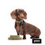 Gotoo Trela Biothane verde oliva para cães, , large Indicador imagem número 4