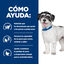 6 kg Hill's Prescription Diet j/d Metabolic + Mobility mini Adult ra&ccedil;&atilde;o para c&atilde;es, , large Indicador imagem n&uacute;mero 4