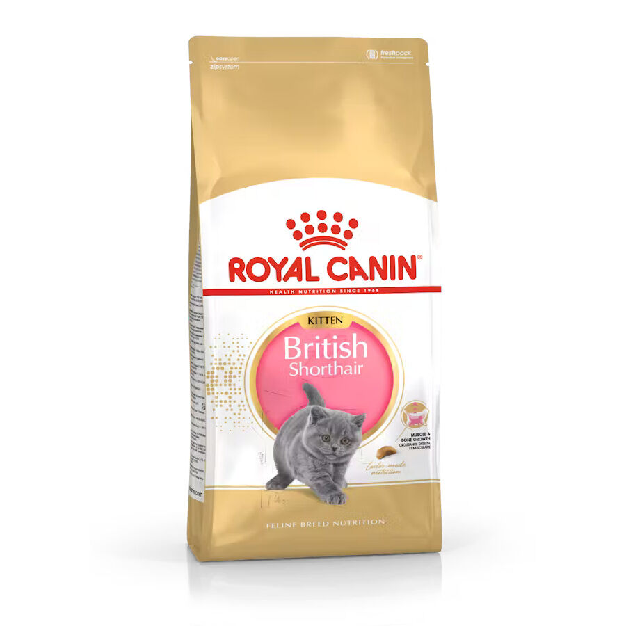 10 kg Royal Canin British Shorthair Kitten Ra&ccedil;&atilde;o para gatos , , large Imagem n&uacute;mero 1