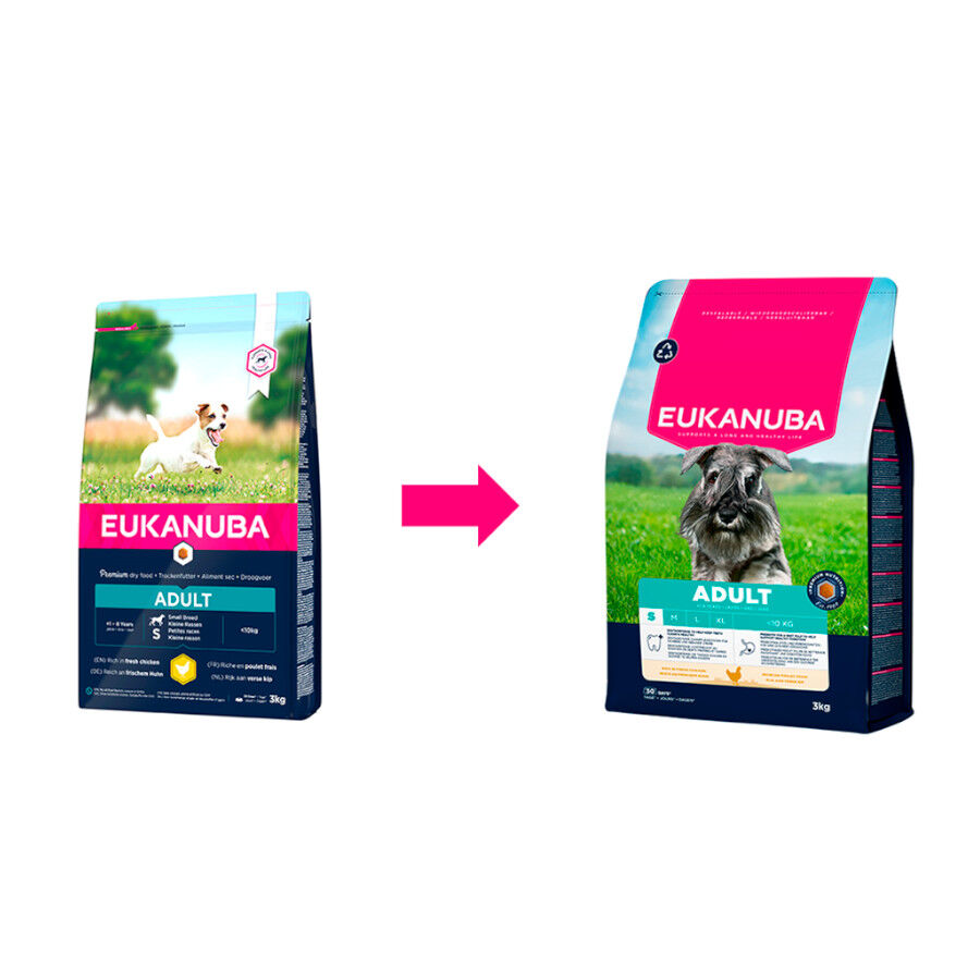 3 kg Eukanuba Adult Ra&ccedil;&atilde;o de frango para c&atilde;es de ra&ccedil;a pequena, , large Imagem n&uacute;mero 2