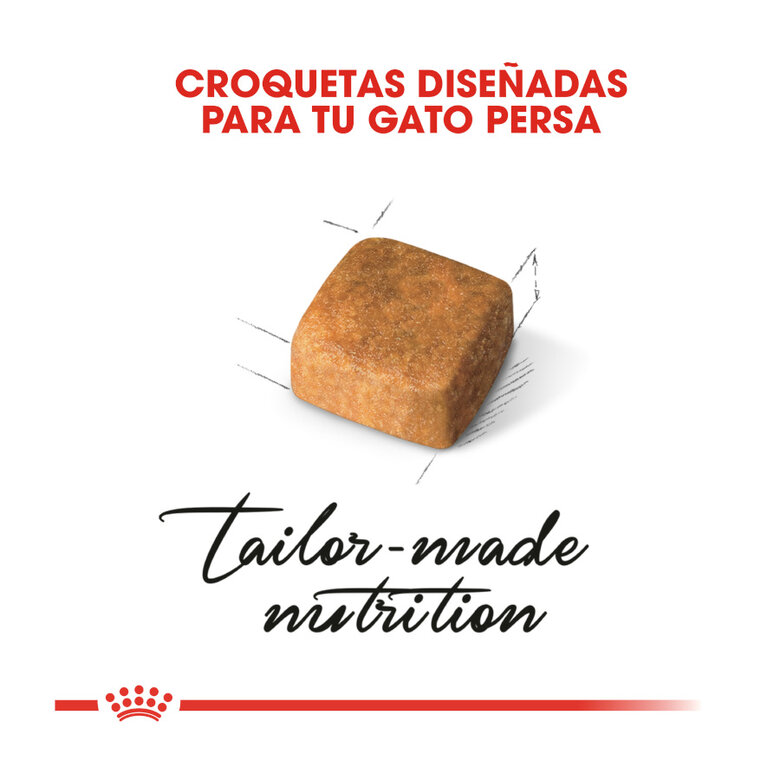 10 kg Royal Canin Kitten Persa ração para gatinhos,  Imagem número 5 10 kg Royal Canin Kitten Persa ração para gatinhos, , large Imagem número 5