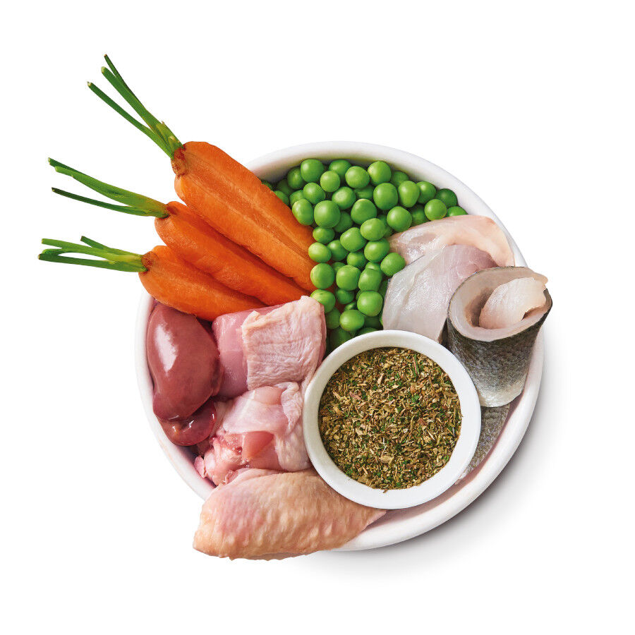 150 g Lily's Kitchen Puppy Organic Frango terrina, , large Imagem n&uacute;mero 4