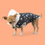 Outech Capa de Chuva Impermeável Com Estrelas para cães, , large Indicador imagem número 2