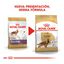 3 kg Royal Canin Adult Cocker ração para cães, , large Indicador imagem número 3