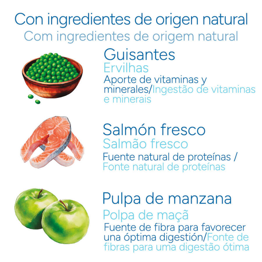 Criadores Cient&iacute;fico Senior Sensitive Medium-Maxi Ra&ccedil;&atilde;o de salm&atilde;o para c&atilde;es, , large Imagem n&uacute;mero 5