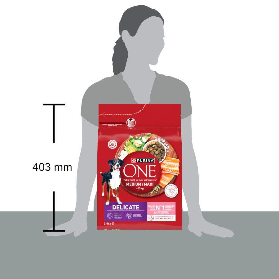 2,5 kg Purina One Delicate Pienso Salm&oacute;n para perros, , large Imagem n&uacute;mero 4